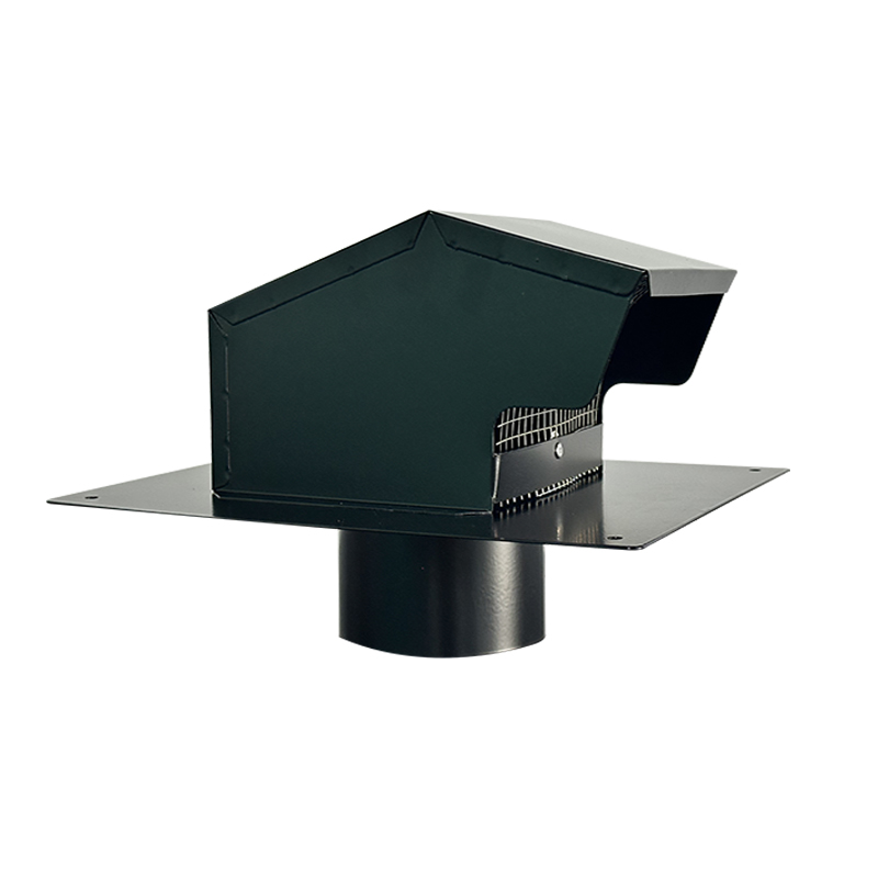 Roof vent for House