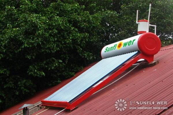 Solar water heater