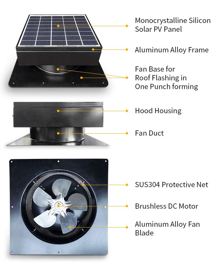 SFM-F Product Structure